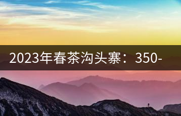 2023年春茶溝頭寨:350-450元/公斤