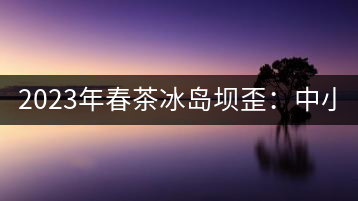 2023年春茶冰島壩歪：中小樹800元／公斤，古樹1400-1600元／公斤