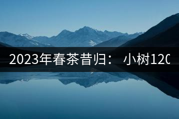 2023年春茶昔歸： 小樹(shù)1200-1600元／公斤，大樹(shù)4500-5200元／公斤，古樹(shù)7500-9000元／公斤.