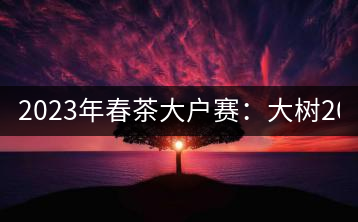 2023年春茶大戶賽：大樹200-300元／公斤，古樹800-1000元／公斤