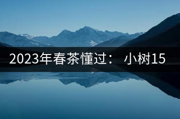 2023年春茶懂過(guò): 小樹(shù)150元/公斤, 古樹(shù)400-600元/公斤