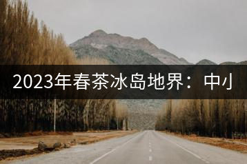 2023年春茶冰島地界：中小樹(shù)1300-1500元／公斤，古樹(shù)2200~2500元／公斤