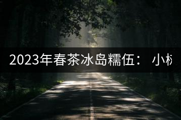 2023年春茶冰島糯伍： 小樹1300元／公斤，古樹：2100~2300元／公斤