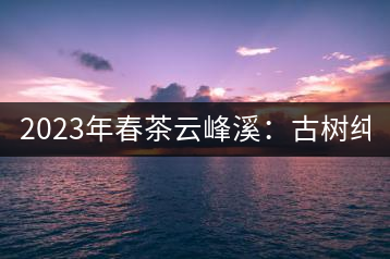 2023年春茶云峰溪：古樹純料：1200-1500元／公斤，古樹混采800-1000元／公斤，大樹500-800元／公斤，小樹300-500元／公斤