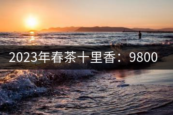 2023年春茶十里香：9800-12000元／公斤，十里香紅茶：9800-12000元／公斤