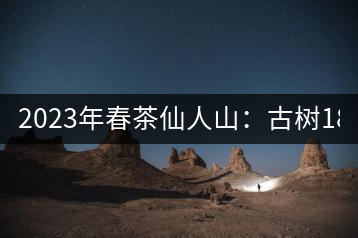 2023年春茶仙人山：古樹1800-2500元／公斤，老曼峨：小樹：600元／公斤 1600-1800元／公斤