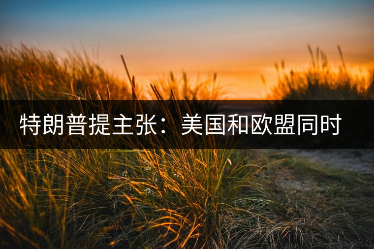 特朗普提主張:美國和歐盟同時取消所有關稅 特朗普提主張:美國和歐盟同時取消所有關稅