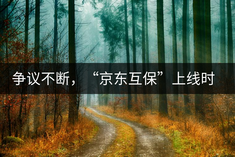 爭(zhēng)議不斷，“京東互?！鄙暇€(xiàn)時(shí)間未定