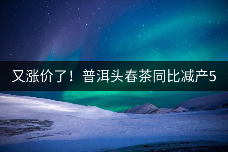 又漲價了！普洱頭春茶同比減產50%，薄荷塘一類鮮葉需當面議價