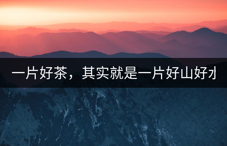 一片好茶，其實就是一片好山好水...一片好茶，其實就是一片好山好水...