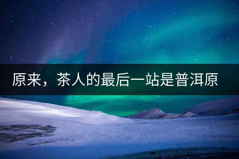 原來，茶人的最后一站是普洱原來，茶人的最后一站是普洱