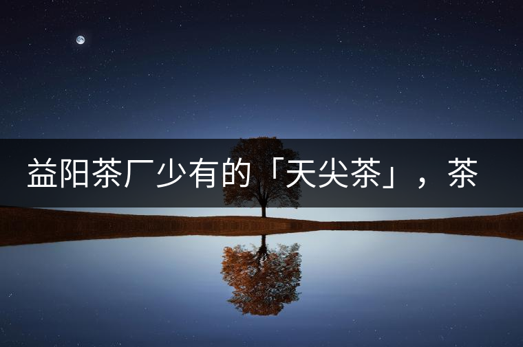 益陽茶廠少有的「天尖茶」，茶品升級，收藏趁早！