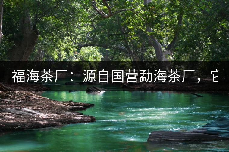 福海茶廠：源自國營勐海茶廠，它是99易武綠星星之母