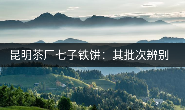 昆明茶廠七子鐵餅：其批次辨別、配方、年份大盤點！