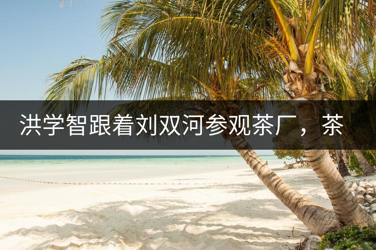 洪學(xué)智跟著劉雙河參觀茶廠，茶廠黃老板對(duì)賣苦力的百姓百般欺凌