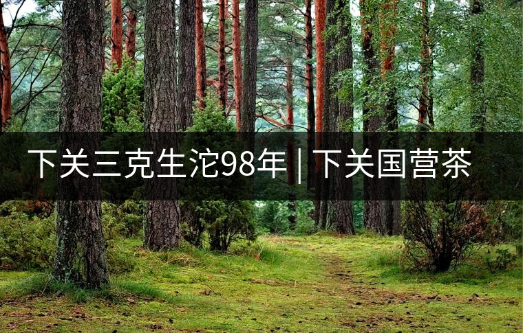 下關(guān)三克生沱98年 | 下關(guān)國營茶廠出口料，干倉儲存，...下關(guān)三克生沱98年 | 下關(guān)國營茶廠出口料，干倉儲存，19年老茶！