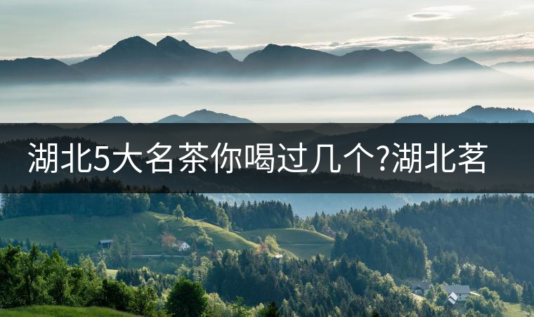 湖北5大名茶你喝過(guò)幾個(gè)?湖北茗茶的歷史故事?湖北茶哪...湖北5大名茶你喝過(guò)幾個(gè)？湖北茗茶的歷史故事？湖北茶哪個(gè)產(chǎn)地好