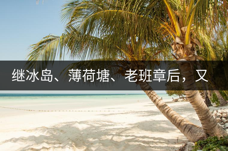 繼冰島、薄荷塘、老班章后，又一個被追捧的山頭茶火了！