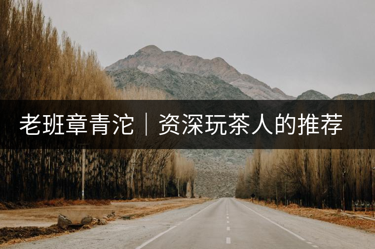 老班章青沱｜資深玩茶人的推薦，老班章專屬的老味道