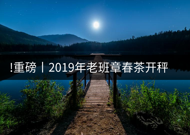 !重磅丨2019年老班章春茶開秤，一筆定價？如此出人意料！