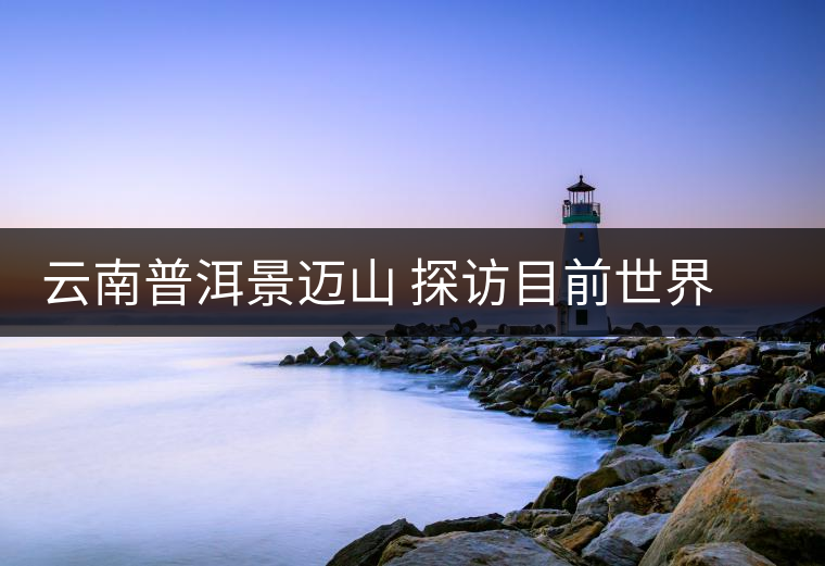 云南普洱景邁山 探訪目前世界上面積最大、年代最久遠(yuǎn)的古茶園