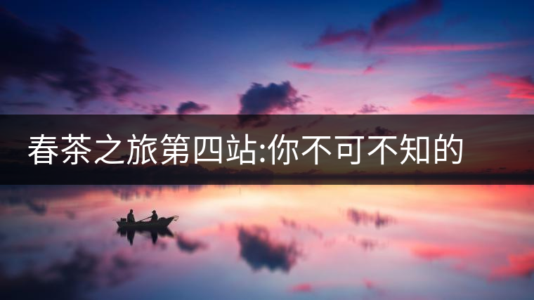 春茶之旅第四站:你不可不知的景邁春茶之旅第四站:你不可不知的景邁 春茶之旅第四站:你不可不知的景邁春茶之旅第四站:你不可不知的景邁