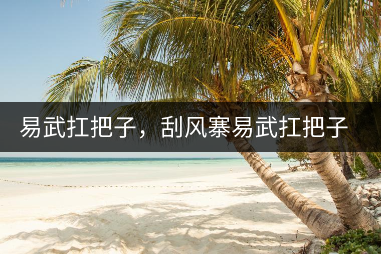 易武扛把子，刮風(fēng)寨易武扛把子，刮風(fēng)寨