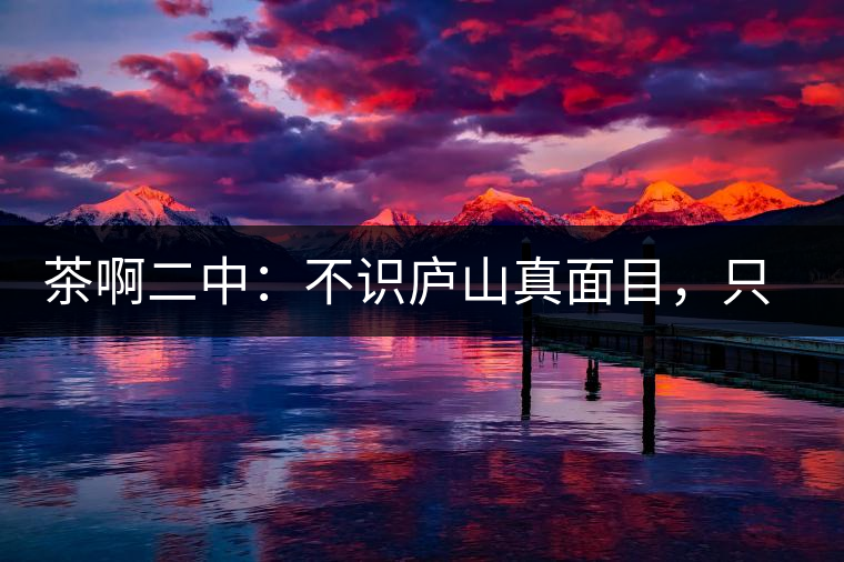 茶啊二中：不識廬山真面目，只識彎弓射大雕，賈淳真搞笑