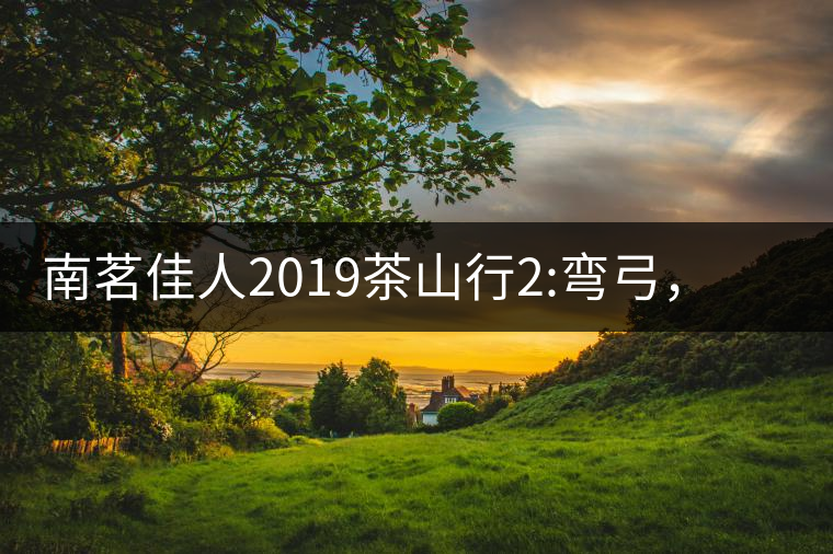 南茗佳人2019茶山行2:彎弓，一路艱辛，只為這有生命...南茗佳人2019茶山行2：彎弓，一路艱辛，只為這有生命厚度的茶！