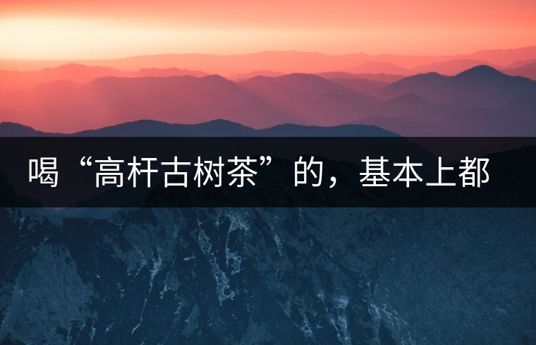 喝“高桿古樹茶”的，基本上都是不懂茶的