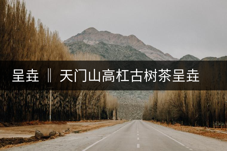 呈垚 ‖ 天門山高杠古樹茶呈垚 ‖ 天門山高杠古樹茶 呈垚 ‖ 天門山高杠古樹茶呈垚 ‖ 天門山高杠古樹茶