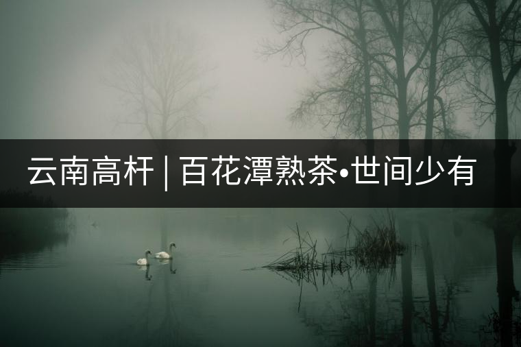 云南高桿 | 百花潭熟茶?世間少有的珍品云南高桿 | 百花潭熟茶?世間少有的珍品 云南高桿 | 百花潭熟茶?世間少有的珍品云南高桿 | 百花潭熟茶?世間少有的珍品