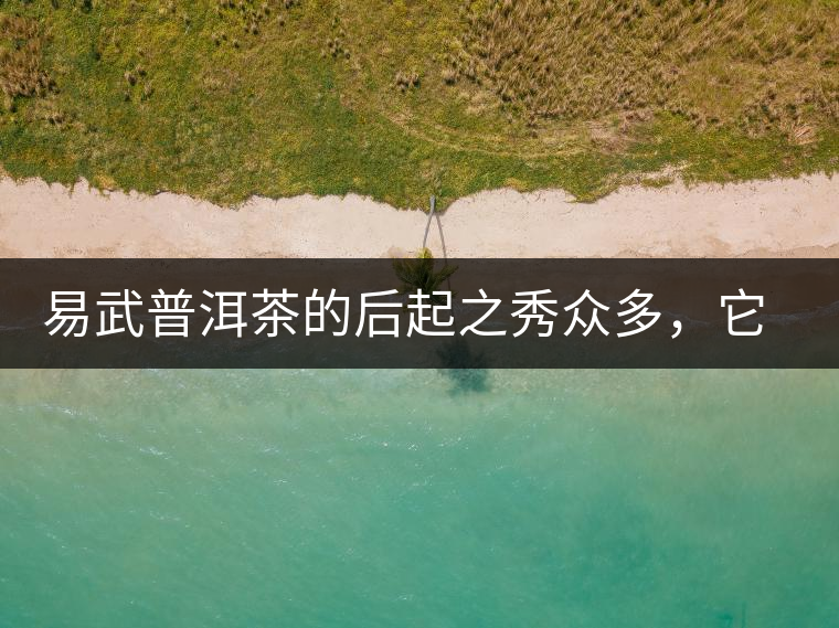 易武普洱茶的后起之秀眾多，它是還沒漲價的一個！