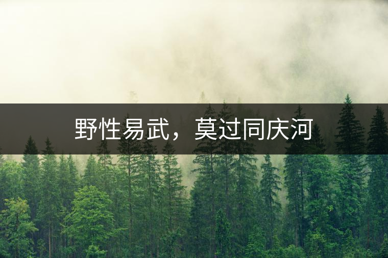 野性易武，莫過(guò)同慶河