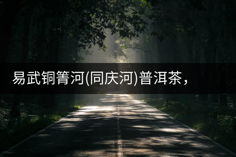 易武銅箐河(同慶河)普洱茶，讓我拜倒的不止它的口感易武銅箐河（同慶河）普洱茶，讓我拜倒的不止它的口感