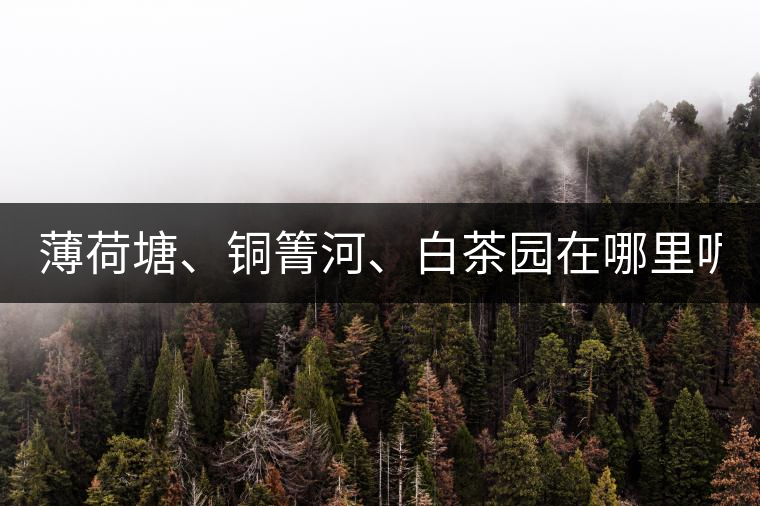 薄荷塘、銅箐河、白茶園在哪里呢?薄荷塘、銅箐河、白茶園在哪里呢？