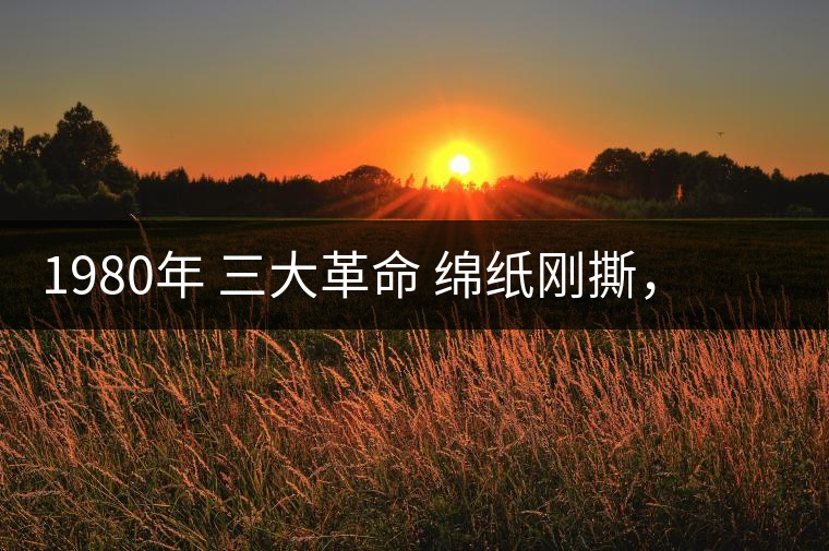 1980年 三大革命 綿紙剛撕，品相極好，整體干凈漂亮1980年 三大革命 綿紙剛撕，品相極好，整體干凈漂亮