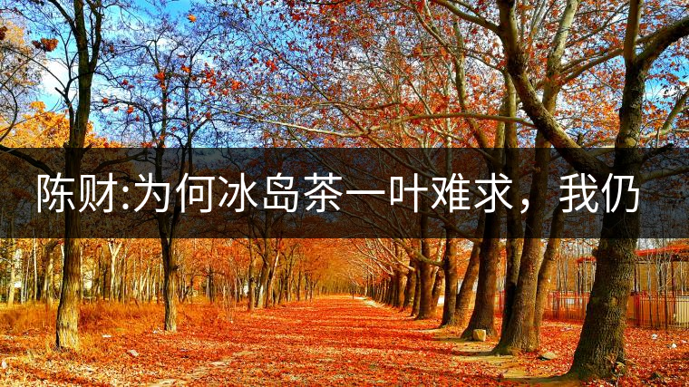 陳財:為何冰島茶一葉難求，我仍然堅持