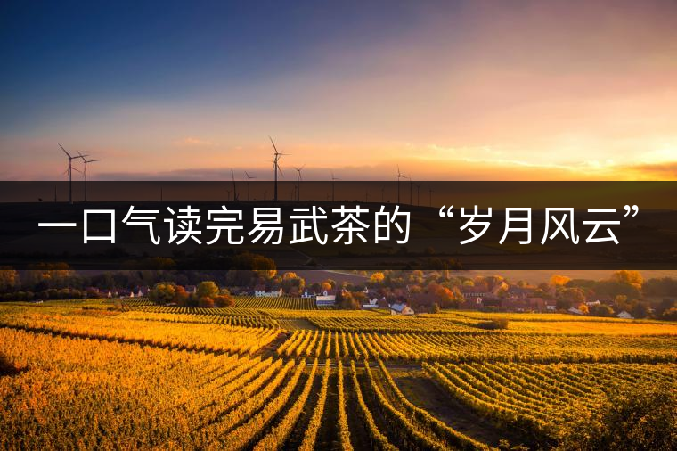 一口氣讀完易武茶的“歲月風云” 一口氣讀完易武茶的“歲月風云”