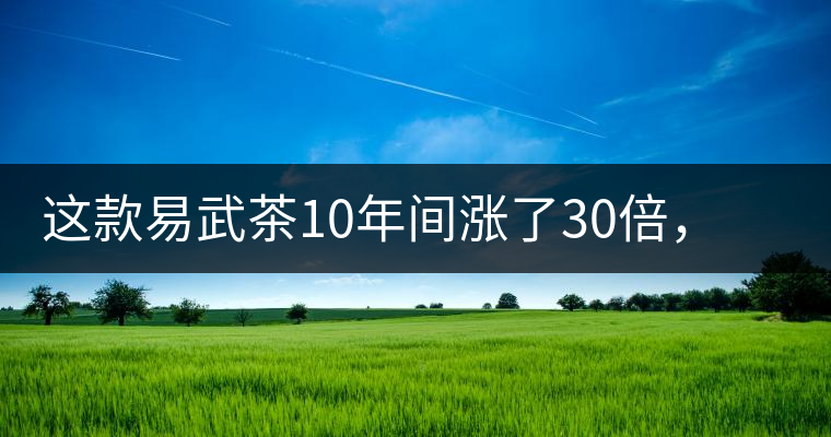這款易武茶10年間漲了30倍，但已芳蹤罕見