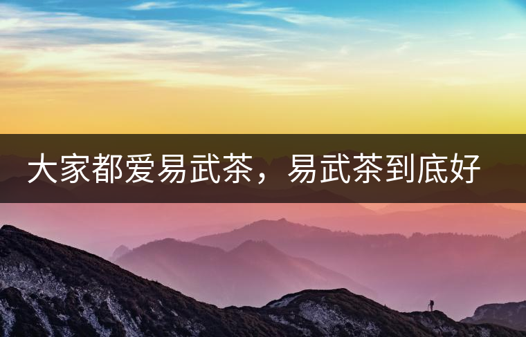 大家都愛易武茶，易武茶到底好在哪兒?大家都愛易武茶，易武茶到底好在哪兒？