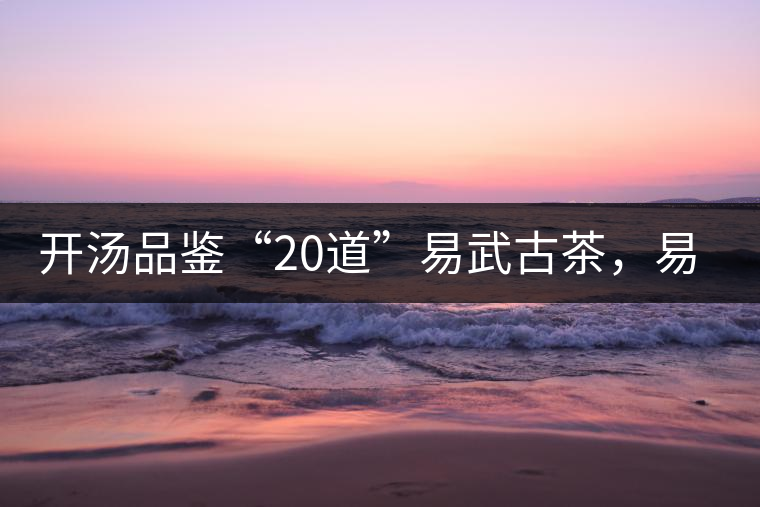 開湯品鑒“20道”易武古茶，易武茶特征你知道多少？