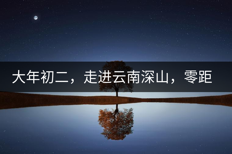 大年初二，走進(jìn)云南深山，零距離接觸古茶樹