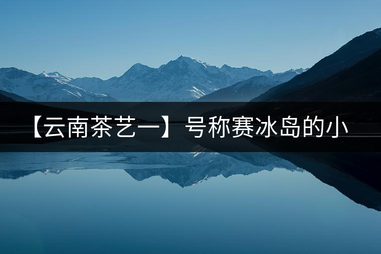【云南茶藝一】號稱賽冰島的小戶賽憑什么！今天帶大家一起研究下