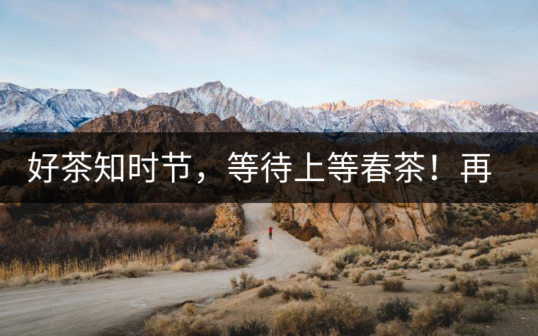 好茶知時(shí)節(jié)，等待上等春茶！再來回味這些年喝過的小戶賽古樹春茶