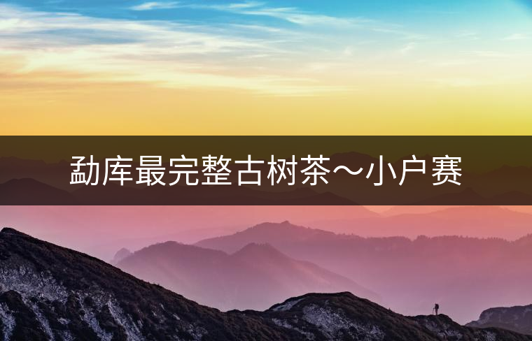 勐庫(kù)最完整古樹(shù)茶~小戶賽 勐庫(kù)最完整古樹(shù)茶~小戶賽
