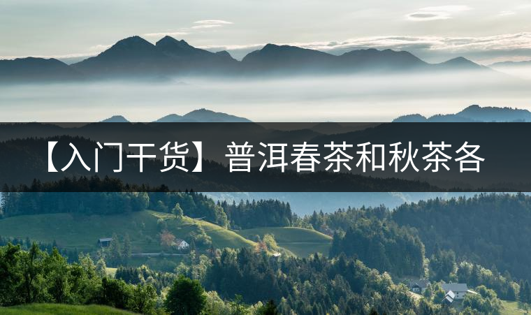 【入門(mén)干貨】普洱春茶和秋茶各有什么特點(diǎn)？怎樣辨識(shí)？