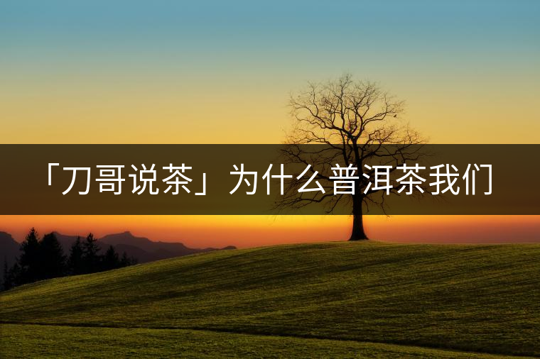「刀哥說茶」為什么普洱茶我們情愿選三無？