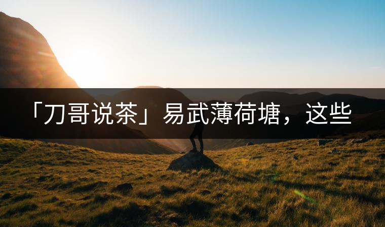 「刀哥說茶」易武薄荷塘，這些冷知識你該知道