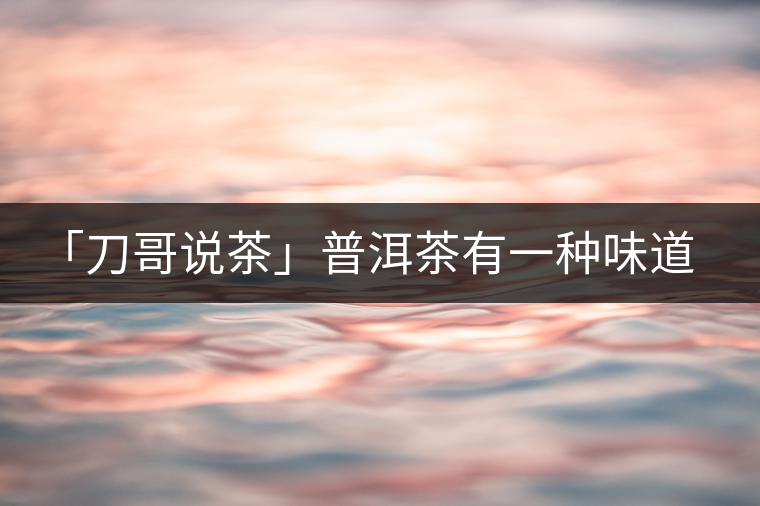 「刀哥說茶」普洱茶有一種味道，只可意會不可言傳